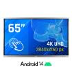 iggual Pantalla interactiva 4K ORCHID 65"