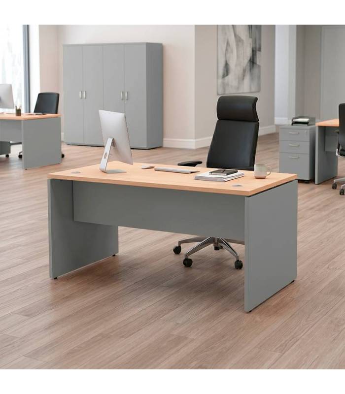 Mesa Operativa ATLAS de NOMA. Pata PANEL