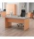 Mesa Operativa ATLAS de NOMA. Pata PANEL