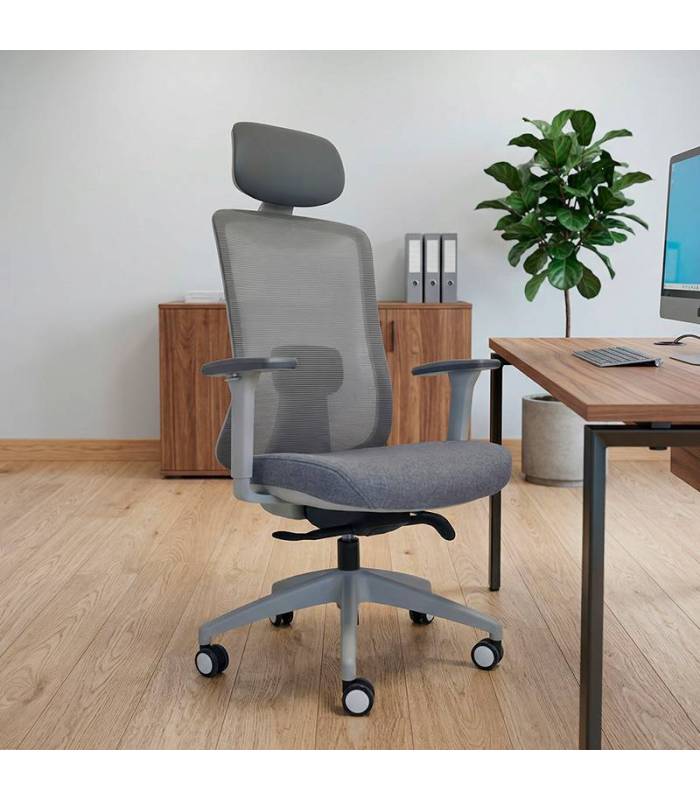 Comprar Silla Ergonómica GENIUS de NOMA. Color GRIS