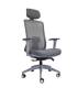 Silla Ergonómica GENIUS de NOMA. Color GRIS
