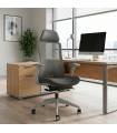 Silla Ergonómica SANTOS GREY de NOMA.