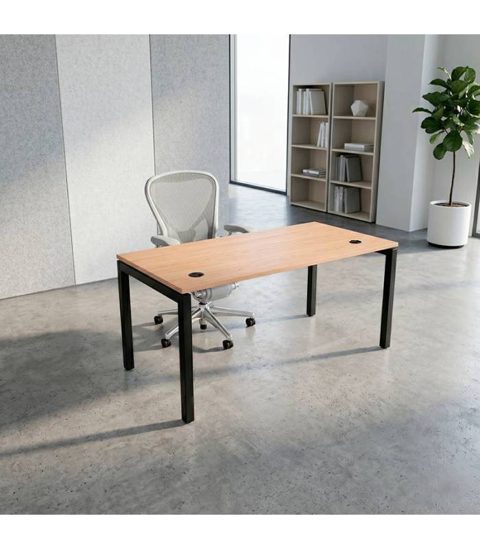 Mesa Operativa ATLAS de NOMA. Pata PORTICA