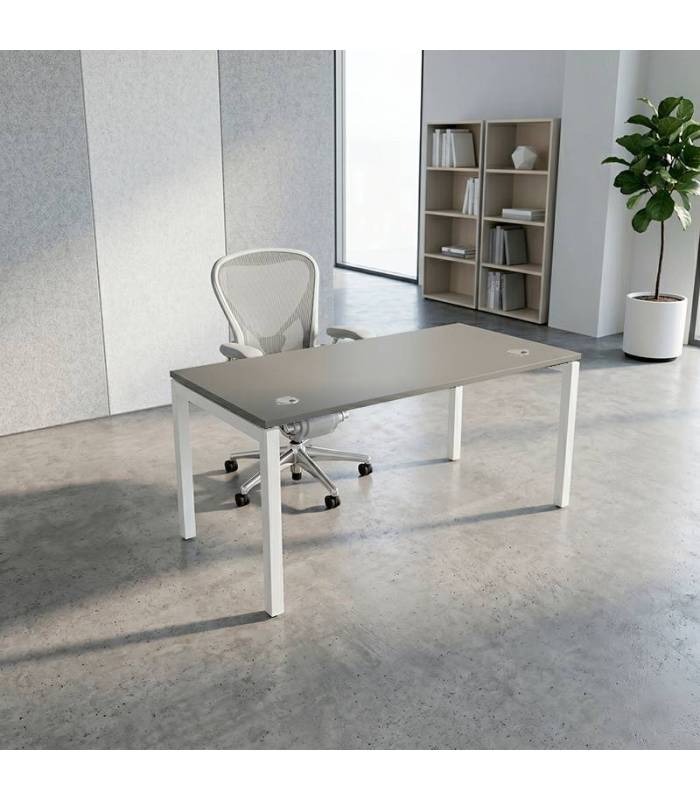 Mesa Operativa ATLAS de NOMA. Pata PORTICA