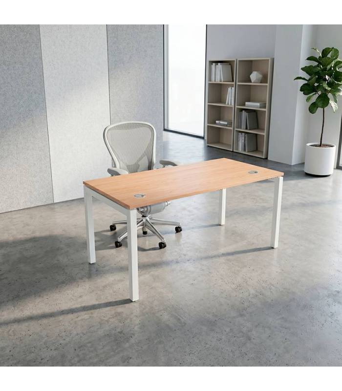 Mesa Operativa ATLAS de NOMA. Pata PORTICA
