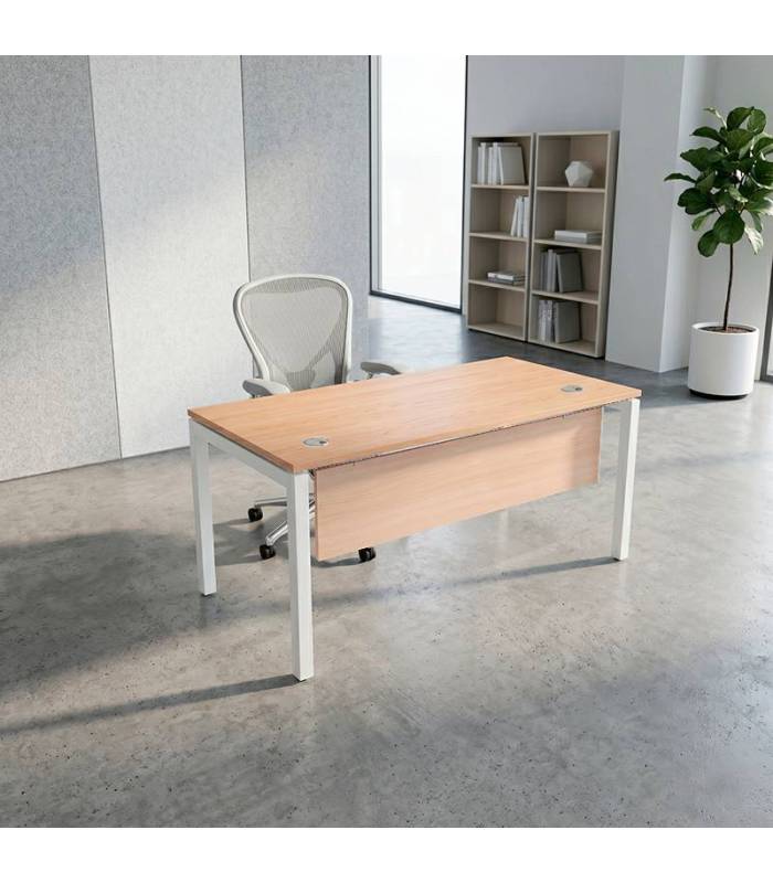Mesa Operativa ATLAS de NOMA. Pata PORTICA