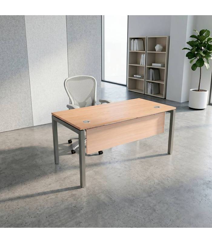 Mesa Operativa ATLAS de NOMA. Pata PORTICA