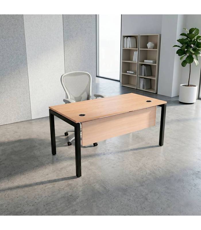 Mesa Operativa ATLAS de NOMA. Pata PORTICA