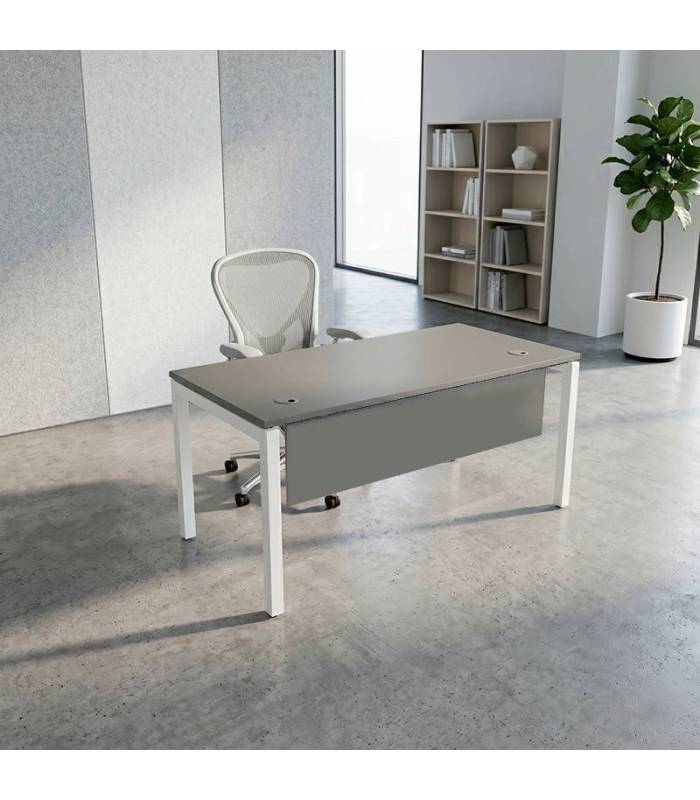 Mesa Operativa ATLAS de NOMA. Pata PORTICA